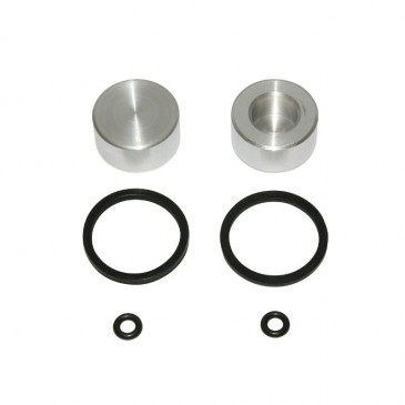 PISTON ETRIER DE FREIN ADAPTABLE AJP AR (25x13) (KIT COMPLET) -SELECTION P2R-