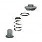 OIL DRAIN PLUG FOR CHINESE SCOOTER 50 4-STROKE GY6-139QMB/PEUGEOT 50 KISBEE/V CLIC 4-STROKE/SYM 50 ORBIT 4-STROKE/BAOTIAN 50 BT49QT 4-STROKE/KYMCO 50 AGILITY 4-STROKE/PIAGGIO 50 ZIP 4-STROKE -(WITH STAINER+SPRING)SELECTION P2R- 3700948083406