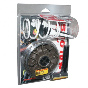 VARIATEUR MAXISCOOTER MALOSSI MULTIVAR 2000 SPORT POUR HONDA 300 FORZA 2015>2020, 300 SH I 2010> (5114192) 3700948137147