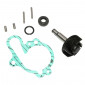 REPAIR KIT FOR WATERPUMP FOR MINARELLI 50 AM6/MBK 50 X-POWER/YAMAHA 50 TZR/PEUGEOT 50 XPS/RIEJU 50 RS1/APRILIA 50 RS (FULL SET) -P2R- 3700948085356