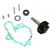 REPAIR KIT FOR WATERPUMP FOR MINARELLI 50 AM6/MBK 50 X-POWER/YAMAHA 50 TZR/PEUGEOT 50 XPS/RIEJU 50 RS1/APRILIA 50 RS (FULL SET) -P2R- 3700948085356