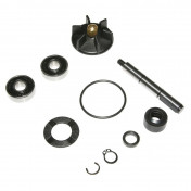 REPAIR KIT FOR WATER PUMP FOR SCOOT PIAGGIO 50 NRG/GILERA 50 RUNNER, DNA - -SELECTION P2R- 3700948087398