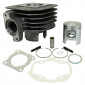 CYLINDER FOR SCOOT POLINI CAST IRON FOR PEUGEOT 50 LUDIX ONE/LUDIX CLASSIC/LUDIX ELEGANCE/LUDIX SNAKE/LUDIX TREND (142.0159) 8054705012242