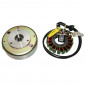 ALLUMAGE MAXISCOOTER ADAPTABLE SUZUKI 125 BURGMAN 1999>2006, AN 1996>2000 (18 POLES) -SELECTION P2R- 8434290545309