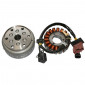ALLUMAGE MAXISCOOTER ADAPTABLE APRILIA 125 SCARABEO LIGHT INJECTION 2009>2010 (18 POLES) -SGR- 8434290545323
