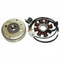 ALLUMAGE MAXISCOOTER ADAPTABLE KYMCO 125 AGILITY 4T 2006>2009, MOVIE 2001>2006 (8 POLES) -SGR- 8434290544531