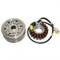 ALLUMAGE MAXISCOOTER ADAPTABLE HONDA 250 FORESIGHT 2000>2003/PIAGGIO 250 XO 2000>2003 (18 POLES) -SGR- 3700948192061