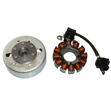 ALLUMAGE SCOOT ADAPTABLE PIAGGIO 50 ZIP 4T 2000>, ET4, LIBERTY 4T 2000>, VESPA LX 4T 2005>, FLY 4T 2005>/APRILIA 50 SCARABEO 4T 2002>/DERBI 50 ATLANTIS 4T 2004> (12 POLES) -SGR- 8434290545293