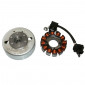IGNITION FOR SCOOT FOR PIAGGIO 50 ZIP 4-STROKE 2000>, ET4, LIBERTY 4-STROKE 2000>, VESPA LX 4-STROKE 2005>, FLY 4-STROKE 2005>/APRILIA 50 SCARABEO 4-STROKE 2002>/DERBI 50 ATLANTIS 4-STROKE 2004> (12 POLES) -SGR 8434290545293