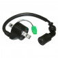 IGNITION COIL FOR MAXISCOOTER SUZUKI 125 BURGMAN 1999>2006 -SELECTION P2R- 3700948201237