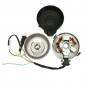 ALLUMAGE CYCLO ELECTRONIQUE ADAPTABLE PEUGEOT 103 6V GROS CONE (VENDU SANS BOBINE ET SANS CDI) -P2R- 3700948049709