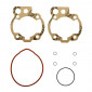 GASKET SET FOR CYLINDER KIT FOR SCOOT AIRSAL FOR MINARELLI AM6 - 8434829005618
