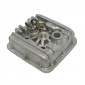CYLINDER HEAD FOR MOPED FOR PEUGEOT 50 RCX LIQUID COOLING/SPX LIQUID COOLING (WITH CYLINDER HEAD DECOMPRESSOR)