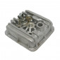 CULASSE CYCLO ADAPTABLE PEUGEOT 50 RCX LIQUIDE, SPX LIQUIDE (AVEC DECOMPRESSEUR) -SELECTION P2R- 3701213401239
