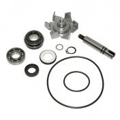 REPAIR KIT FOR WATER PUMP FOR MAXISCOOTER YAMAHA 500 TMAX 2008>2011 - -P2R- 3700948085530