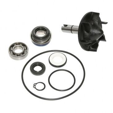 KIT REPARATION POMPE A EAU MAXISCOOTER ADAPTABLE YAMAHA 530 TMAX 2012> (KIT) -P2R-