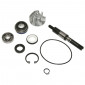 KIT REPARATION POMPE A EAU MAXISCOOTER ADAPTABLE HONDA 125 SH 2001>, 125 PANTHEON 2003>, 125 DYLAN 2004> (KIT) -P2R-