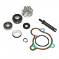 REPAIR KIT FOR WATER PUMP FOR MAXISCOOTER YAMAHA 250 MAJESTY 1998>/MBK 250 SKYLINER 1998> - -P2R- 3700948085523