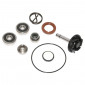 KIT REPARATION POMPE A EAU MAXISCOOTER ADAPTABLE PIAGGIO 250 BEVERLY 2004>2005 (KIT) -P2R-