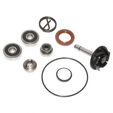KIT REPARATION POMPE A EAU MAXISCOOTER ADAPTABLE PIAGGIO 250 BEVERLY 2004>2005 (KIT) -P2R- 3700948085462