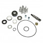 REPAIR KIT FOR WATER PUMP FOR MAXISCOOTER KYMCO 400 XCITING 2014> - -P2R-