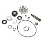 KIT REPARATION POMPE A EAU MAXISCOOTER ADAPTABLE KYMCO 400 XCITING 2014> (KIT) -P2R- 3700948085431
