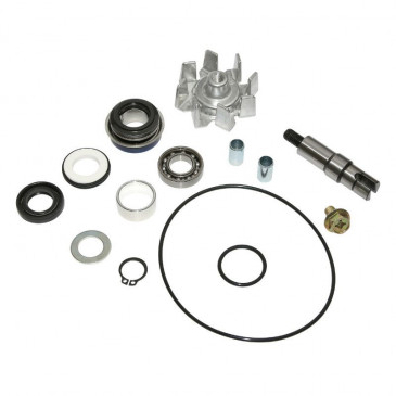 KIT REPARATION POMPE A EAU MAXISCOOTER ADAPTABLE KYMCO 400 XCITING 2014> (KIT) -P2R-