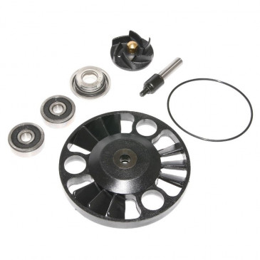 KIT REPARATION POMPE A EAU MAXISCOOTER ADAPTABLE APRILIA 125 ATLANTIC 2002>/GILERA 125 NEXUS 2007> (KIT) -P2R-