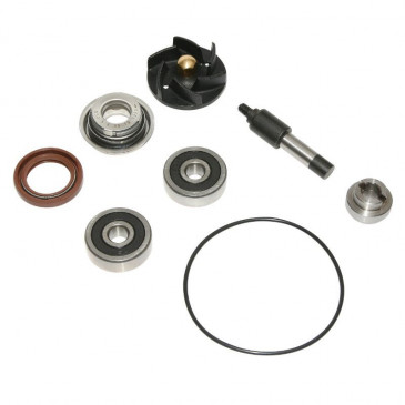 REPAIR KIT FOR WATER PUMP FOR MAXISCOOTER PIAGGIO 250 MP3 2006>, X7 2007>, 300 MP3 2010>, X7 2009>, VESPA GTS 2008>, BEVERLY 2010>, YOURBAN 2011>, 125 VESPA GTS 2006> - -P2R-