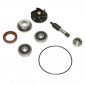 REPAIR KIT FOR WATER PUMP FOR MAXISCOOTER PIAGGIO 250 MP3 2006>, X7 2007>, 300 MP3 2010>, X7 2009>, VESPA GTS 2008>, BEVERLY 2010>, YOURBAN 2011>, 125 VESPA GTS 2006> - -P2R- 3700948085479