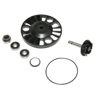 KIT REPARATION POMPE A EAU MAXISCOOTER ADAPTABLE PIAGGIO 125 X8 2004>, X9 2001>, BEVERLY 2001>2005, VESPA GTS 2003>/GILERA 125 NEXUS 2005>, RUNNER 2000>/APRILIA 125 ATLANTIC 2003> (KIT) -P2R- 3700948085455