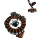 STATOR ALLUMAGE MAXISCOOTER ADAPTABLE PIAGGIO 125-250 MP3, BEVERLY, X7, VESPA GTS / GILERA 125-250 NEXUS / APRILIA 125-250 ATLANTIS, SPORT CITY, 125 SR MAX (R.O 58070R) -P2R- 3700948085875