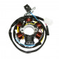 IGNITION STATOR FOR SCOOT PEUGEOT 50 LUDIX 2004>, KISBEE, DJANGO, SPEEDFIGHT 3, VIVACITY 3 (5 POLES) -P2R- 3700948087985