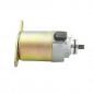 ELECTRIC STARTER FOR SCOOT PEUGEOT 50 SPEEDFIGHT 3 2010>, VIVACITY 3, TWEET 4STROKE/SYM -SELECTION P2R-