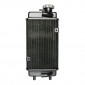 RADIATOR FOR 50CC MOTORBIKE MINARELLI 50 AM6/MBK 50 X-POWER/YAMAHA 50 TZR/PEUGEOT 50 XPS/RIEJU 50 RS1/APRILIA 50 RS (H 280mm x L 140mm) -SELECTION P2R- 3700948087947