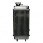 RADIATOR FOR 50CC MOTORBIKE MINARELLI 50 AM6/MBK 50 X-POWER/YAMAHA 50 TZR/PEUGEOT 50 XPS/RIEJU 50 RS1/APRILIA 50 RS (H 280mm x L 140mm) -SELECTION P2R- 3700948087947