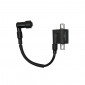 BOBINE ALLUMAGE SCOOT ADAPTABLE SCOOT CHINOIS 50 2T / TNT 50 ROMA 2T -P2R- 3700948087671