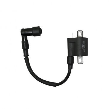 BOBINE ALLUMAGE SCOOT ADAPTABLE SCOOT CHINOIS 50 2T / TNT 50 ROMA 2T -P2R- 3700948087671