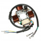 IGNITION STATOR FOR MOPED PIAGGIO 50 CIAO 12V- P2R SELECTION 3700948087978