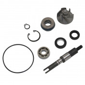 REPAIR KIT FOR WATER PUMP FOR MAXISCOOTER HONDA 125 SH, 125 PANTHEON, 125 DYLAN - -TOP PERF AS ORIGINAL- 3700948161265