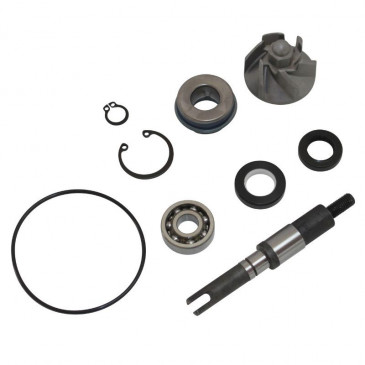 KIT REPARATION POMPE A EAU MAXISCOOTER ADAPTABLE HONDA 125 SH, 125 PANTHEON, 125 DYLAN (TYPE ORIGINE) -TOP PERFORMANCES-