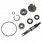 REPAIR KIT FOR WATER PUMP FOR MAXISCOOTER HONDA 125 SH, 125 PANTHEON, 125 DYLAN - -TOP PERF AS ORIGINAL- 3700948161265