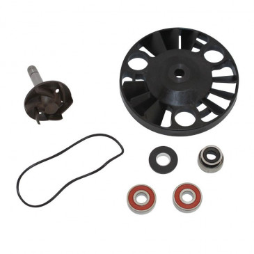 REPAIR KIT FOR WATER PUMP FOR MAXISCOOTER PIAGGIO 125 X8, X9, BEVERLY, VESPA GTS/GILERA 125 NEXUS, RUNNER, DNA/APRILIA 125 ATLANTIC, SPORT CITY (BEARINGS Ø 22) -TOP PERF AS ORIGINAL-