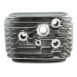 CULASSE CYCLO ADAPTABLE PIAGGIO 50 CIAO (SELECTION P2R) 1000701200001