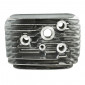CYLINDER HEAD FOR MOPED PIAGGIO 50 CIAO (SELECTION P2R)