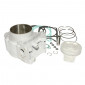 CYLINDER FOR MAXISCOOTER MALOSSI FOR PIAGGIO 125 MP3, X7 EVO/GILERA 125 NEXUS (INJECTION ENGINE) 3700948137468