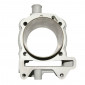 CYLINDER FOR MAXISCOOTER MALOSSI FOR PIAGGIO 125 MP3, X7 EVO/GILERA 125 NEXUS (INJECTION ENGINE) 3700948137468
