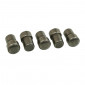 PIVOT PINS FOR TORQUE DRIVER FOR SCOOT PIAGGIO 50 ZIP, TYPHOON, NRG, LIBERTY, VESPA LX, FLY/GILERA 50 STALKER, RUNNER (SOLD PER 5) -SELECTION P2R- 1003004700001