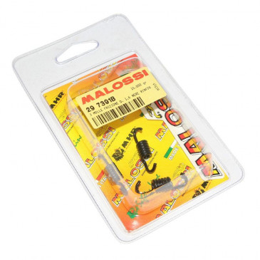 RESSORT EMBRAYAGE SCOOT MALOSSI RACING POUR EMBRAYAGE ORIGINE PIAGGIO 50 ZIP, TYPHOON, NRG/GILERA 50 STALKER, RUNNER -DIAM 107- DIAM 1,6mm NOIR (JEU) 3700948137499