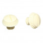VIS/ECROU/BOUTON DE BOITE A OUTIL CYCLO POUR MBK/MOTOBECANE COULEUR CREME (VENDU A L'UNITE) 3701213403448